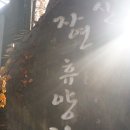 으뜸이네1991 이미지