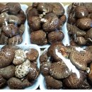 유기농 표고버섯 2등급 맛보기 후기~ 강순용 명품버섯사랑 이미지