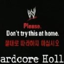 [WWE] The Dicks 이미지