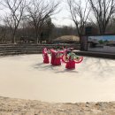 탄쯔맥 이미지