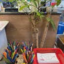 영천동-2 이미지