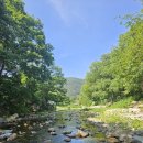 울산 계곡 펜션 추천 소호 하늘빛 펜션 106호 내돈내산 후기