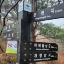 기묘제현 수필 이미지