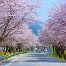 동양화(야간) 이미지