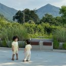 호화로이 이미지