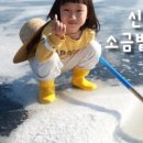 윗신안 이미지