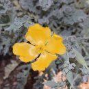 바디픽스 이미지