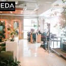 안스헤어 이미지