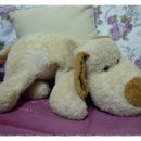 인형뽑는집 이미지