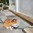 비로소433 이미지