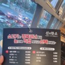 신의한소 이미지