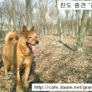 호구