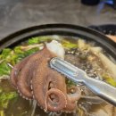 주식회사 힘낙지쭈꾸미 | 군산 내흥동 술집 쭈꾸미샤브샤브 쭈샤맛집 활어회담