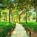 영조농장 이미지