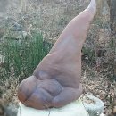 시간이멈춘마을 이미지