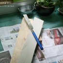 화이트하우스 이미지