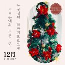 [동구샘터] 모루공예의 모든 것(모루인형, 모루플라워 만들기) | [동구샘터 하반기 프로그램] 모루공예의 모든 것(모루인형/모루플라워) 모루 포인세티아 조명 리스...
