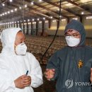 진흥양계농장 이미지