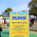 양재천 반려견 축제 행사, 무브살롱 시즌2 : 펫토피아 방문 후기