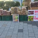 북비산네거리 대구은행 앞 | 북비산네거리대구은행앞몸에좋은약초