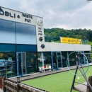 몽몽이 애견미용 이미지