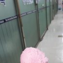 우리동네아이스크림안양 이미지
