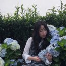 번영로농장 이미지