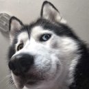 디에이트짐&필라테스 이미지