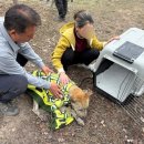 대풍1리 이미지