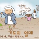 좋은것만