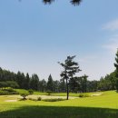 떼제베CC(대중제) 이미지