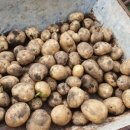 해밀계곡농장 이미지