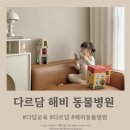 곰곰동물병원