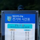 자작나무숲중간 이미지