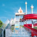 라파미 D 이미지