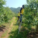 이상록농장 네이버블로그