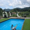 오늘하루 애견 동반 스파펜션 이미지