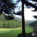 양지-3366 이미지