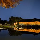 덕진-124 이미지