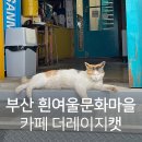 부산 흰여울문화마을 카페 :: 더레이지캣
