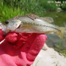 남방낚시터 이미지