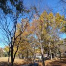 마재근린공원 이미지