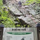 드름산 춘클리지 (2026.07.11 토) 이미지