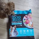 여울유통 | 쿠팡 강아지 사료 추천! 탐사 도그 푸드 연어 레시피, 입맛 까다로운 여울이의 폭풍 먹방 후기