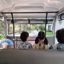 담별풀빌라 | 나트랑 대가족 여행 일정 3일차/ 빈펄 리조트 풀빌라, 빈원더스 후기