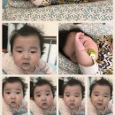 빠앤코 베이비 필로
