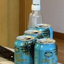 (주)가나이십사시동물병원 | 대학생학대는 거꾸로해도 대학생학대
