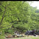 인제 싸리목캠핑장 B5 내돈내산 2박3일 후기🏕근데이제 칭찬밖에 없는,,