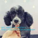 괴정3동-3 이미지