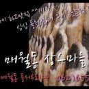 풍서우로 이미지